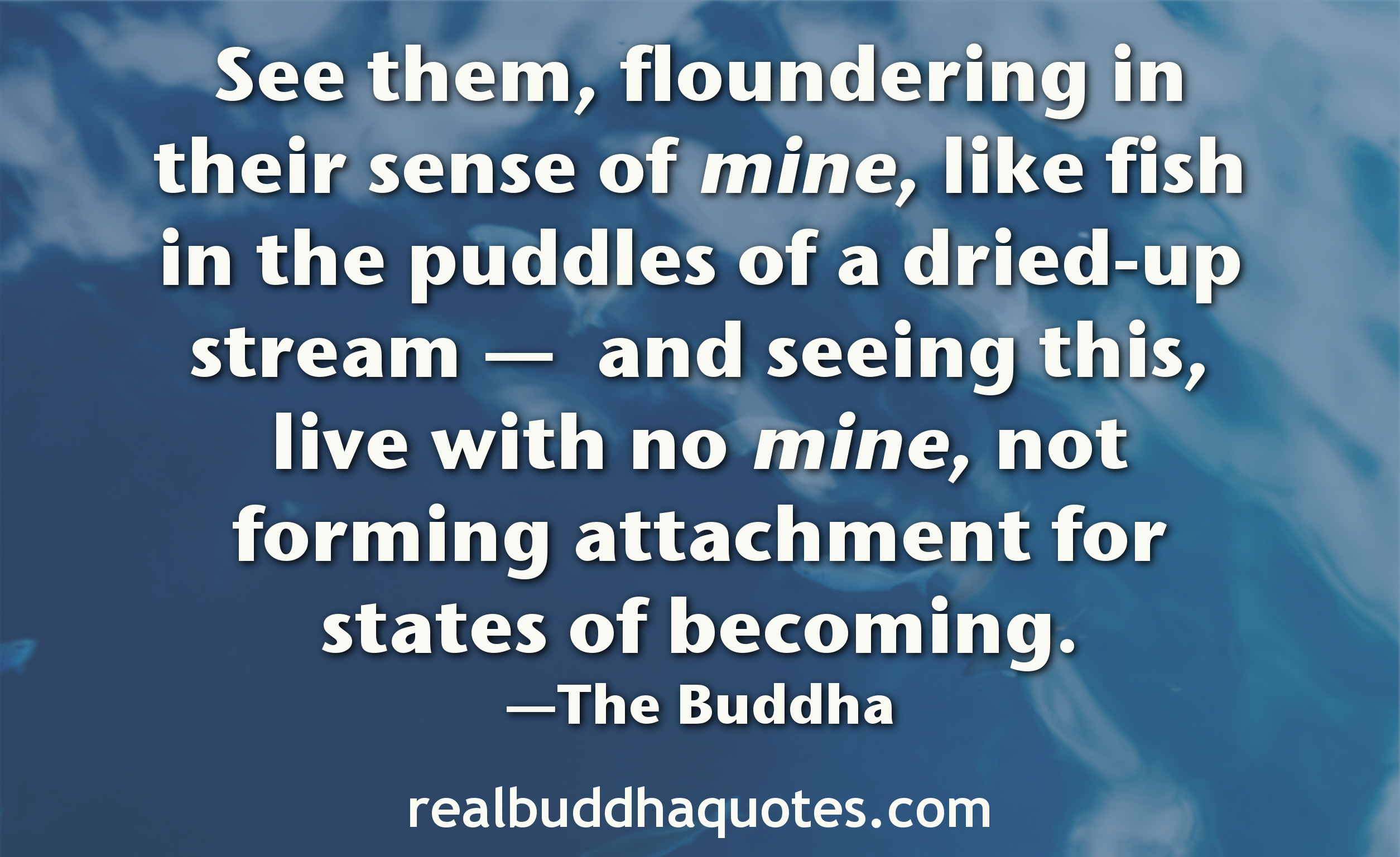 see-them-floundering