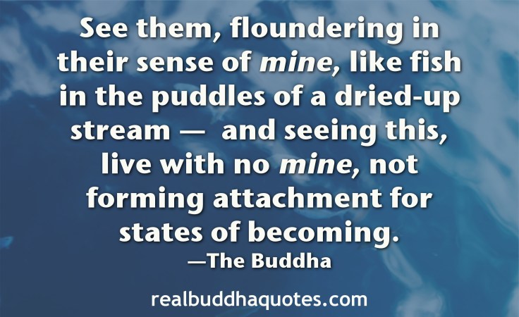 see-them-floundering